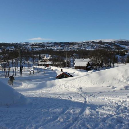 Bergfosshytta Lägenhet Ron Exteriör bild