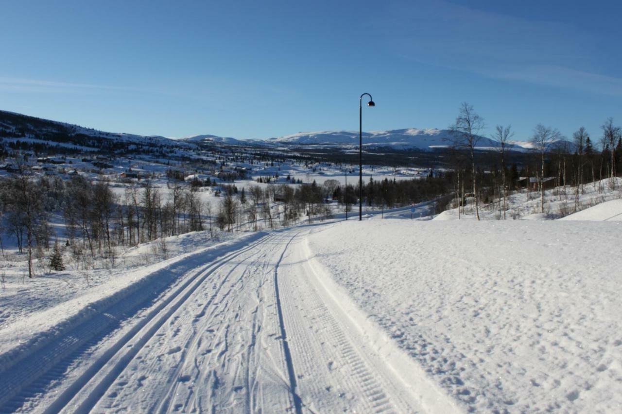 Bergfosshytta Lägenhet Ron Exteriör bild