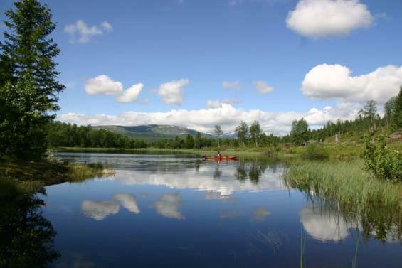 Bergfosshytta Lägenhet Ron Exteriör bild